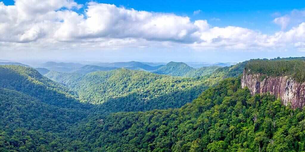 Springbrook and Tamborine Rainforest Tour from Brisbane