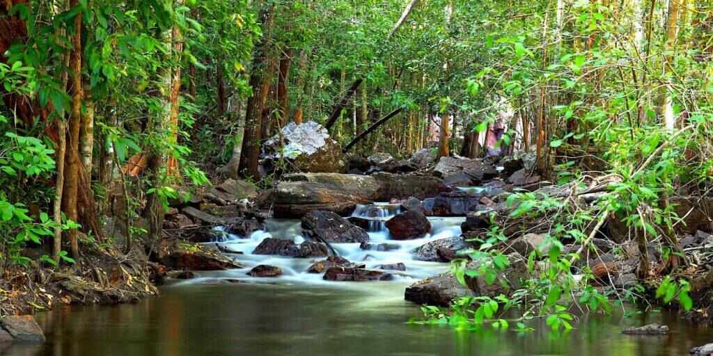 Litchfield National Park Tour from Darwin