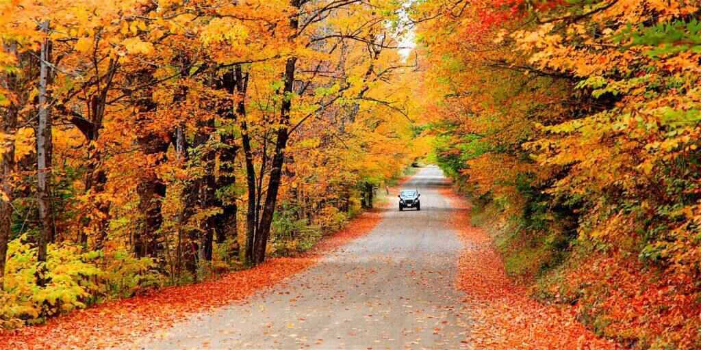 Ten top things to do in New England