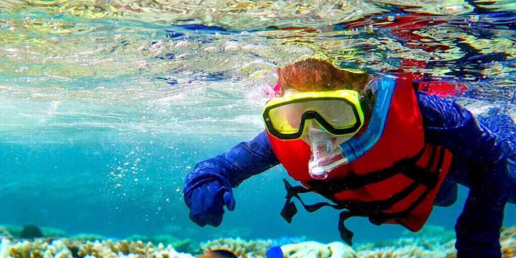 Great Barrier Reef Day Trip from Port Douglas