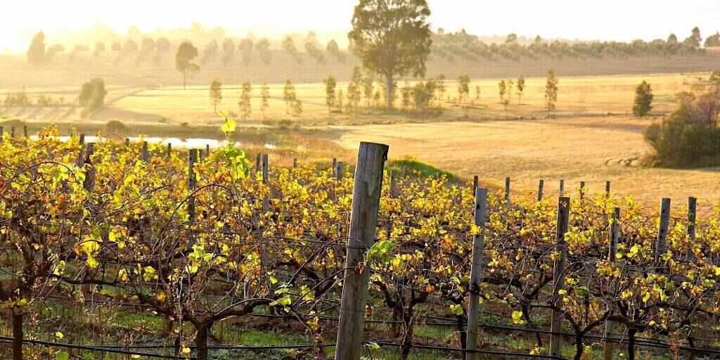 Ten of the best things to do in the Hunter Valley