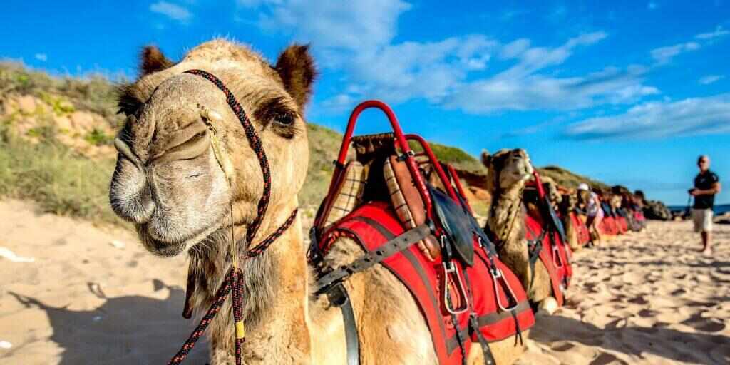 Top Oz Tours YouTube Travel Series
