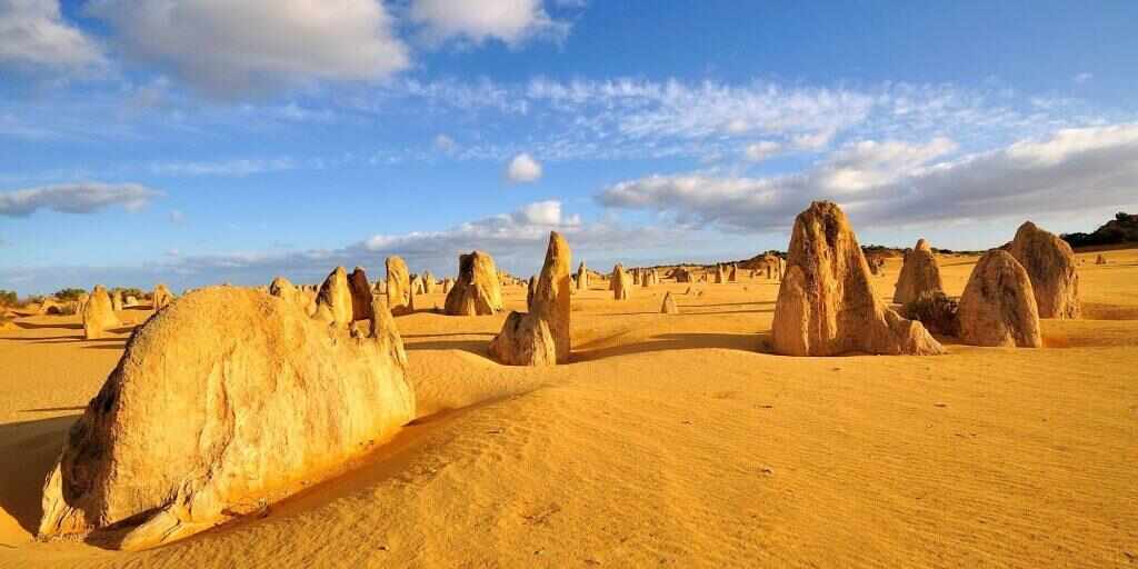 Top Perth bus tours and guided experiences