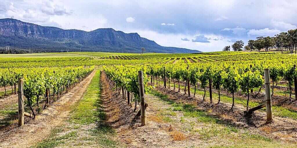 Hunter Valley Wine, Chocolate and Cheese Tour from Sydney