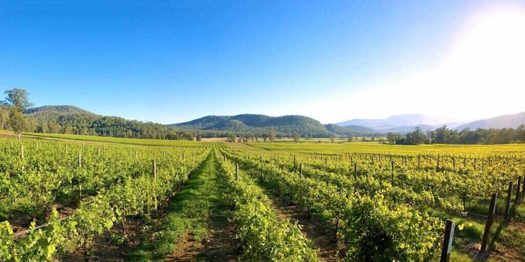 10 Best Things to Do in Wangaratta, VIC
