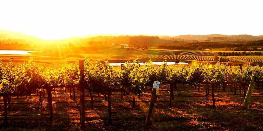 Ten of the best things to do in Mudgee