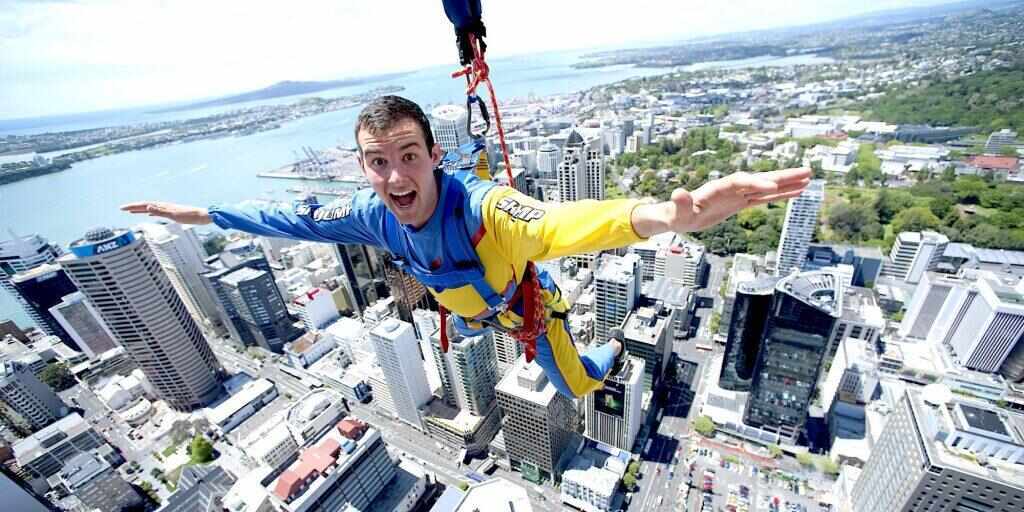 North Island Tours & Experiences