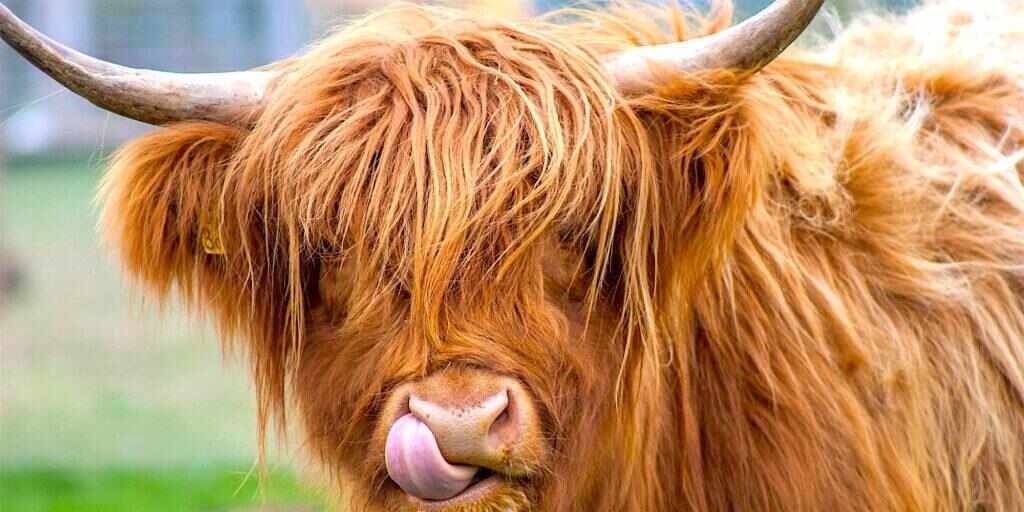 Ten top things to do in the Scottish Highlands