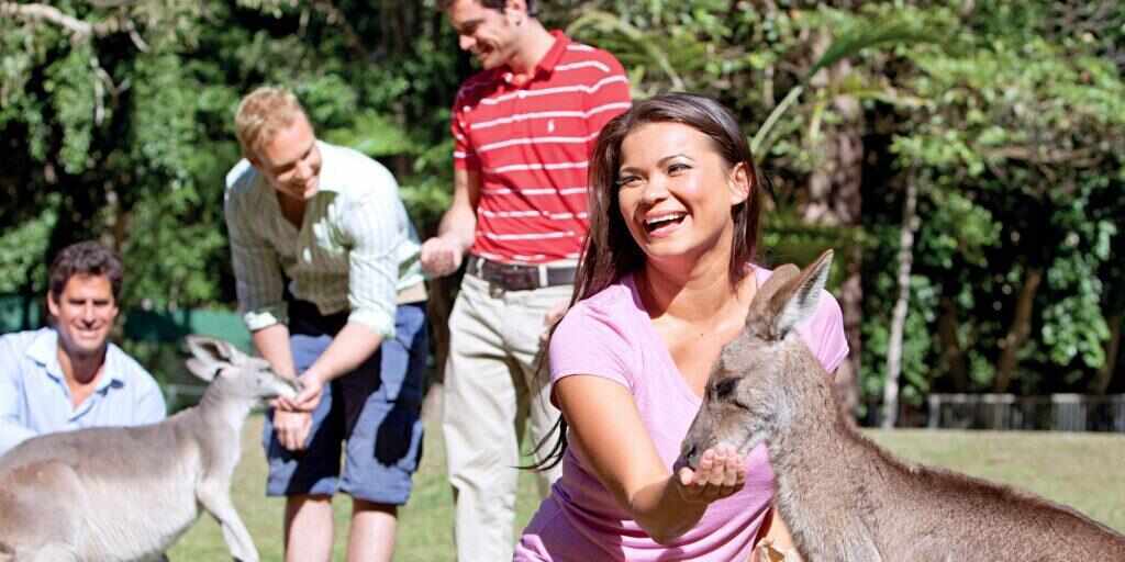 Australia Zoo Tour from Brisbane