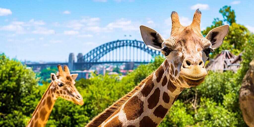 Top ten Sydney attractions
