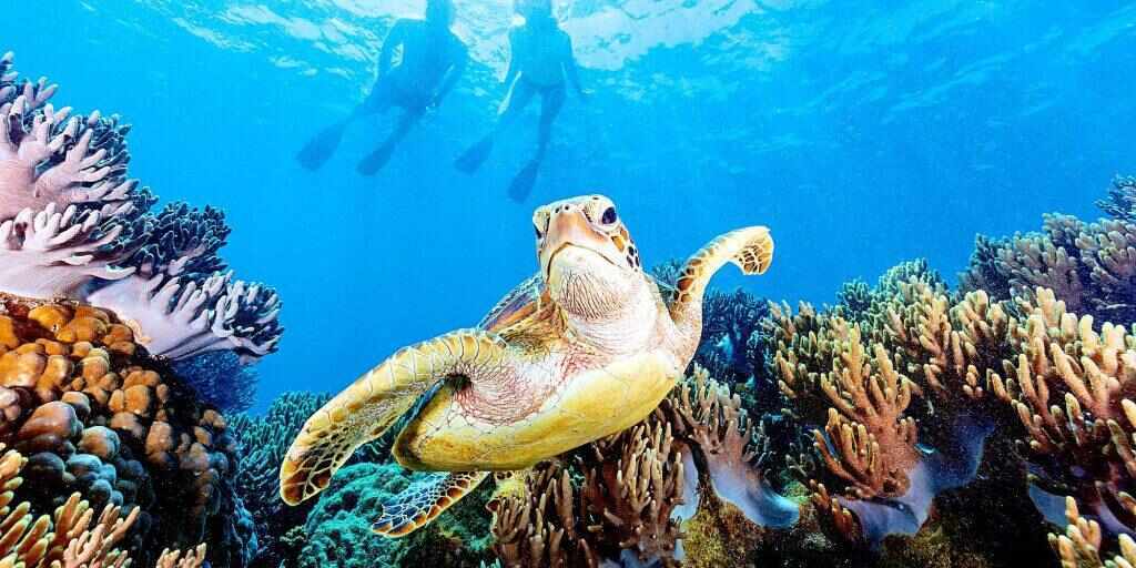 Great ways to see the Great Barrier Reef from Cairns
