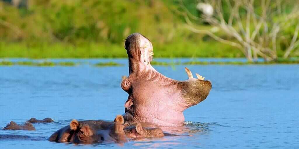 South Africa tours