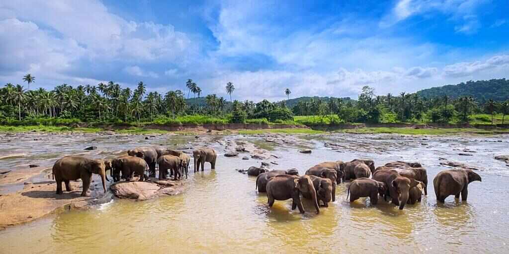 Sri Lanka tours