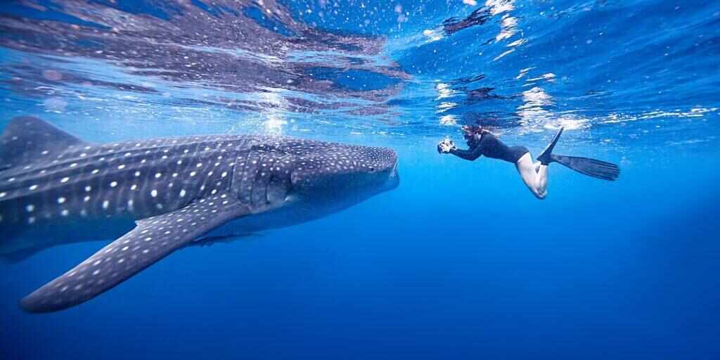 Mexico tours