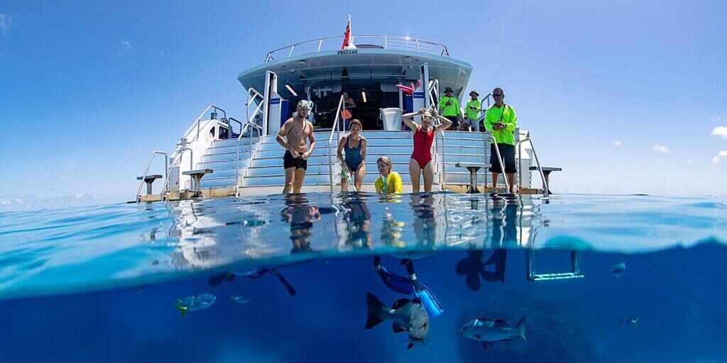 Top Cairns reef tours