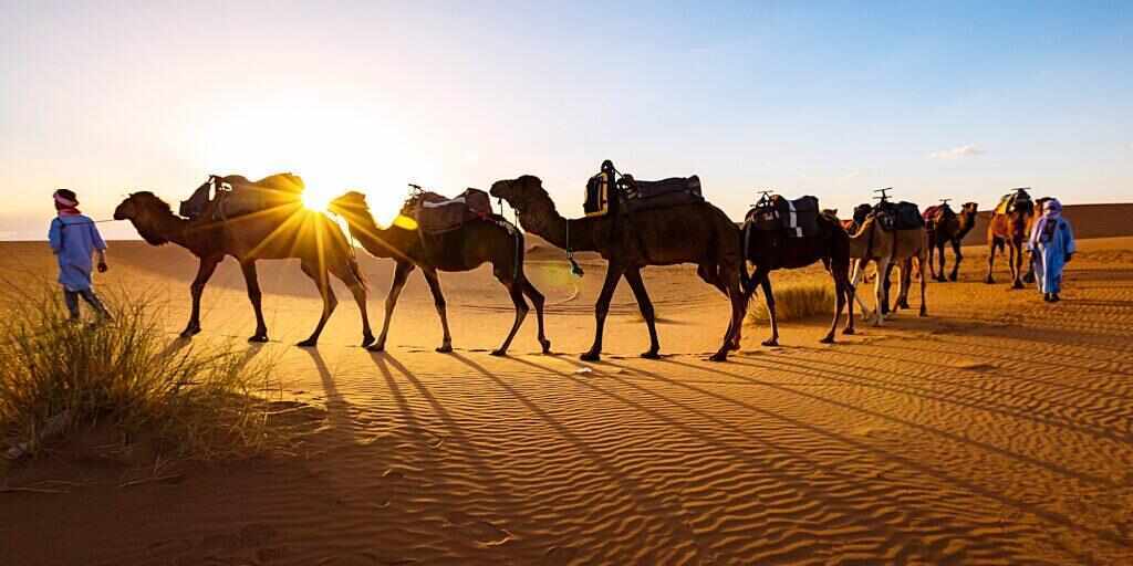 Morocco tours