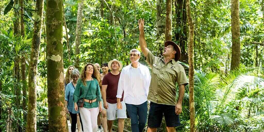 Daintree tour from Cairns by 4WD