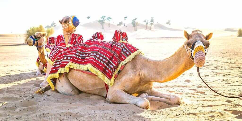 United Arab Emirates tours