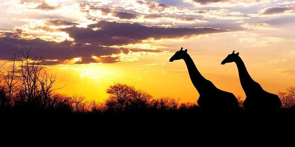 Ten of the best Africa multi-day tours