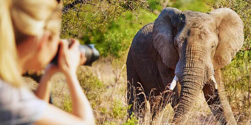 Save $100pp on Africa Multi-Day Tours