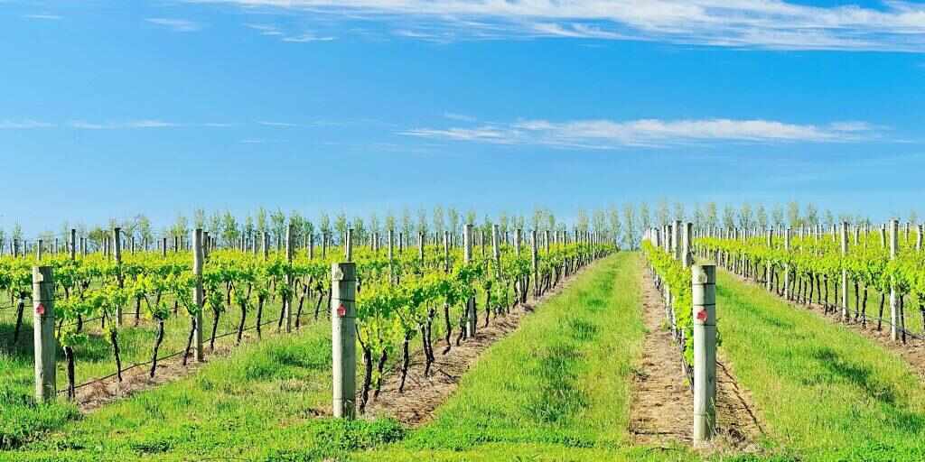 Margaret River tours